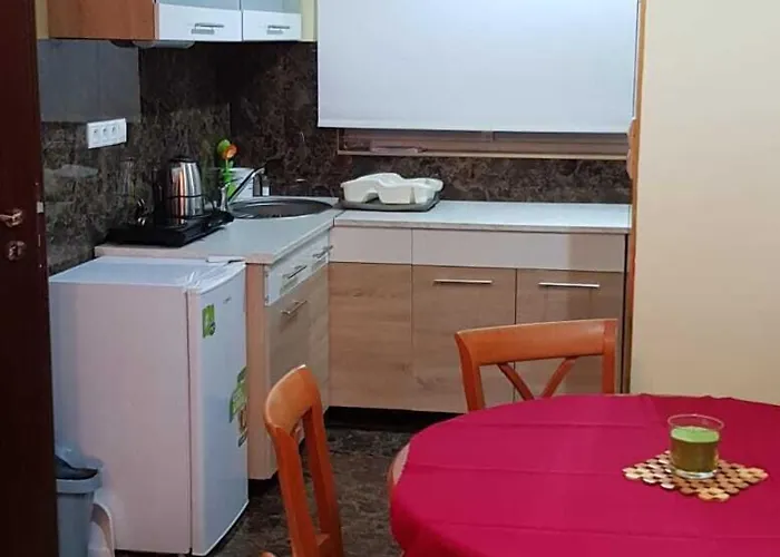 호텔 Apartmanovy Garni Hotel Relax 세네츠